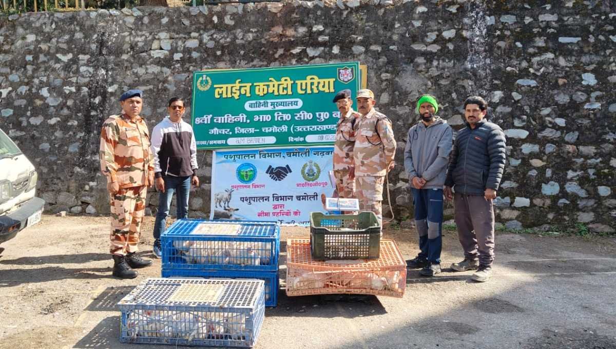 आईटीबीपी को भेड़, बकरी, मुर्गी और ट्राउट फिश की सप्लाई करते हैं किसान